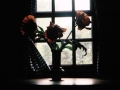 thornwillow-window-w-lilies-2005