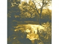 IRENA MARTENS                                                        Pigment Print :Boxed Portfolio %22Thornwillow Gardens%22 2