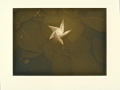 Irena Martens:%22Thornwillow Gardens %22  Sepia Photo 4